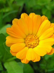 Similar image 563951