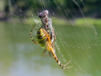 Similar image 563954