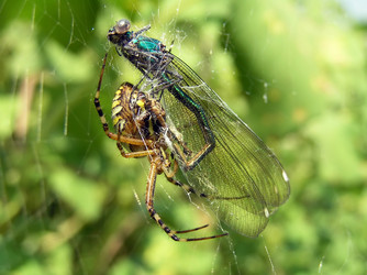 Similar image 563955