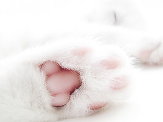 Similar image 564010