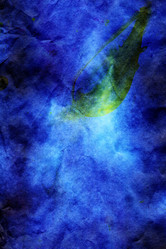 Similar image 564030