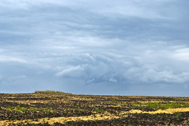 Similar image 564206