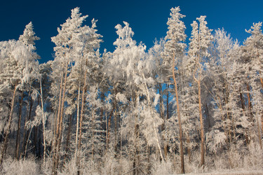 Similar image 564231