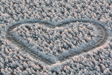 Similar image 564279