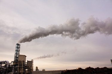 Similar image 564314