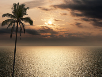 Similar image 564318