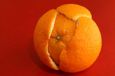 Similar image 564519