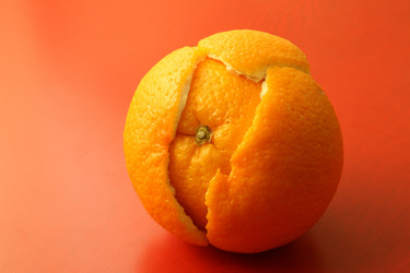 Similar image 564521