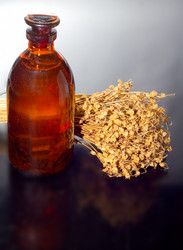 Similar image 564552