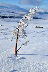 Similar image 564579