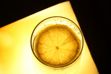 Similar image 564634