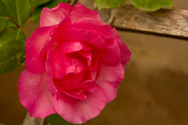 Similar image 564699