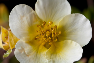 Similar image 564706