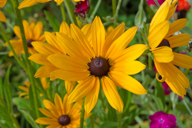 Similar image 564711