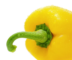 Similar image 564825