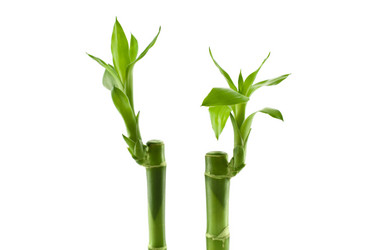 Similar image 564936