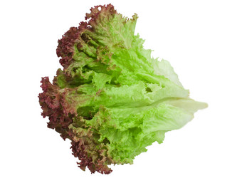 Similar image 564945