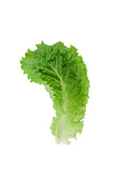 Similar image 564948