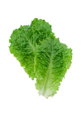 Similar image 564952