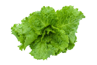 Similar image 564955