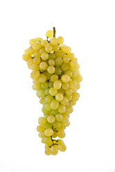 Similar image 564964