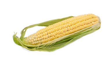 Similar image 564970