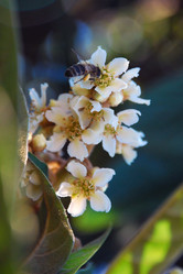 Similar image 565006