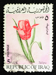 Similar image 565078