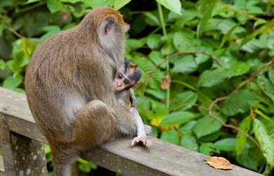 Similar image 565146