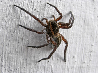 Similar image 565215