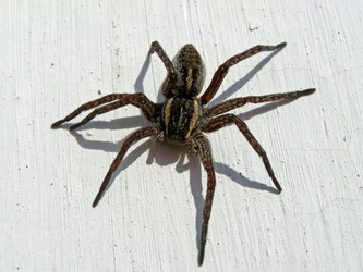 Similar image 565217