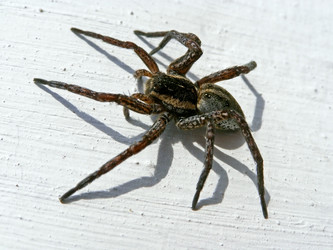 Similar image 565218