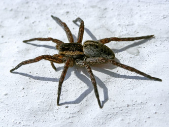 Similar image 565220