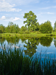 Similar image 565246