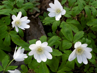 Similar image 565252