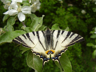 Similar image 565257