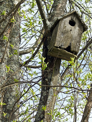 Similar image 565258