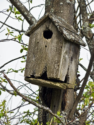 Similar image 565259