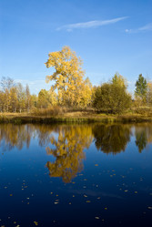 Similar image 565263