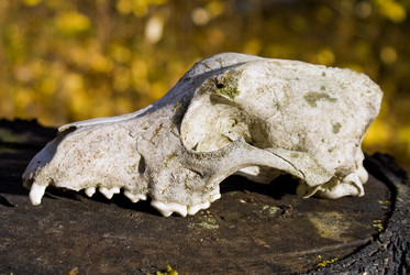 Similar image 565282