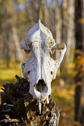 Similar image 565285