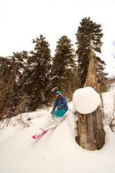 Similar image 565335