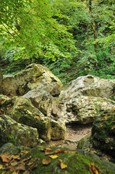 Similar image 565431