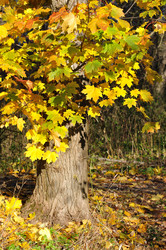 Similar image 565432