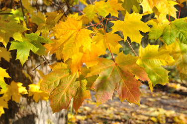 Similar image 565433