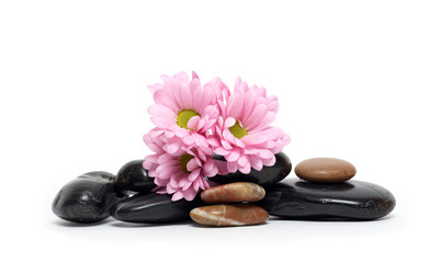 Similar image 565438