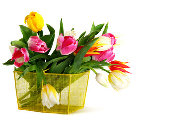 Similar image 565447