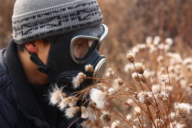 Similar image 565624