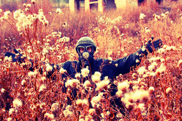 Similar image 565625