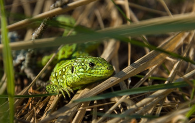 Similar image 565663